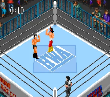 Super Fire Pro Wrestling (Japan) screen shot game playing